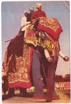 Postcard Elephant Ride India - £7.44 GBP