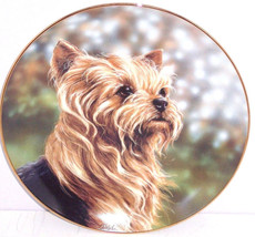 Yorkshire Plate Terrier Anticipation Collector Danbury Yorkie Dog Pet  - £39.16 GBP