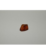 Genuine AMBER with INSECT Fossil Inclusions - Genuine Amber - Real Insec... - £5.46 GBP