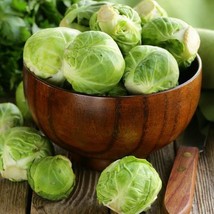 1000 Long Island Improved Brusels Sprouts Seeds Nongmo Heirloom  From US  - £6.62 GBP