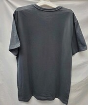 Goodfellow Men's Large Landscape Print Short Sleeve Graphic T-Shirt Charcoal image 3