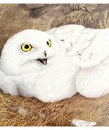 Snowy Owl Art Print Color Plate Birds Of Prey Vintage Nature 1979 DWT11A - $665.05 MXN
