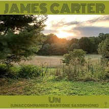 Un (Unaccompanied Baritone Saxophone) [Vinyl LP] [VINYL]  - $43.00