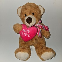 Brown Teddy Bear Plush Pink Heart Hey Girl Valentine&#39;s Day Stuffed Toy Hug Fun - £10.91 GBP
