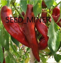 Berynita Store Pepper Numex Big Jim Hot 15 Vegetable Seeds Organic Heirloom Non- - $8.98