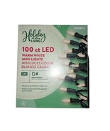 Holiday Living String Lights NEW 100 Ct LED Warm White Mini Lights - $9.90