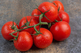 25 Premium New Harvest Of Fresh Sweet Tasting Campari Tomato Seeds - £3.59 GBP