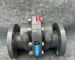 Hayward SW1300E 3&quot; PVC EPDM Flanged Swing Check Valve Used - $494.99