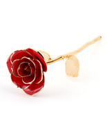 Lacquer Dipped Red Rose Long Stem Preserved in 24K Gold  - $552.79 CAD