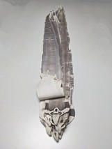 Unbreached Genuine Snake Skin Snakeskin Leather w/ Natural Head - $404.09 MXN+