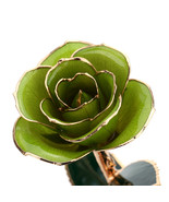 Lacquer Dipped Green Rose Long Stem Preserved in 24K Gold - $552.79 CAD