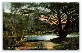 Chain of Lakes Golden Gate Park San Francisco California CA UNP DB Postcard T1 - £4.63 GBP