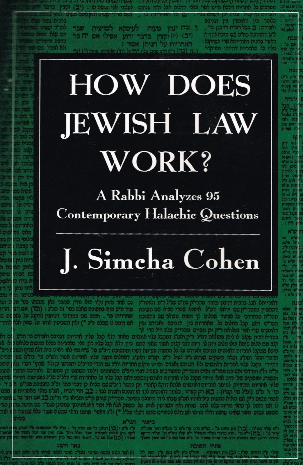 How Does Jewish Law Work?: A Rabbi Analyzes 95 Contemporary Halachic Questions C Item image 2