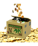 Coin Collecting Panda Bank! Cute Money Saving Bank for the Whole Family - £15.95 GBP