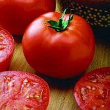 BEST 50 Seeds Easy To Grow Big Beef Tomato Vegetable Tomatoes Food - £7.81 GBP