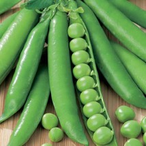 Green Arrow Shelling Pea Seeds Sweet English Pea Shoots Snap Snow Asian Vegetabl - £7.40 GBP