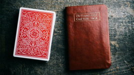 Pocket The Expert at the Card Table by Erdnase (Erdnase Bible-Chestnut B... - $18.80