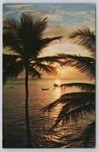 Florida Beautiful Sunset Palm Trees Beach Scene View Postmark Vintage Postcard - $14.45