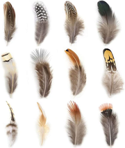 360Pcs 12 Styled Natural Feathers Assorted Mixed Feathers for Jewelry and Dream - £14.85 GBP