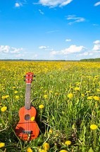 One Free Skype Ukulele Lesson w/Me!  - £0.00 GBP