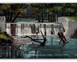 Falls At Lincoln Park Lincoln Nebraska NE 1911 DB Postcard V16 - $4.90