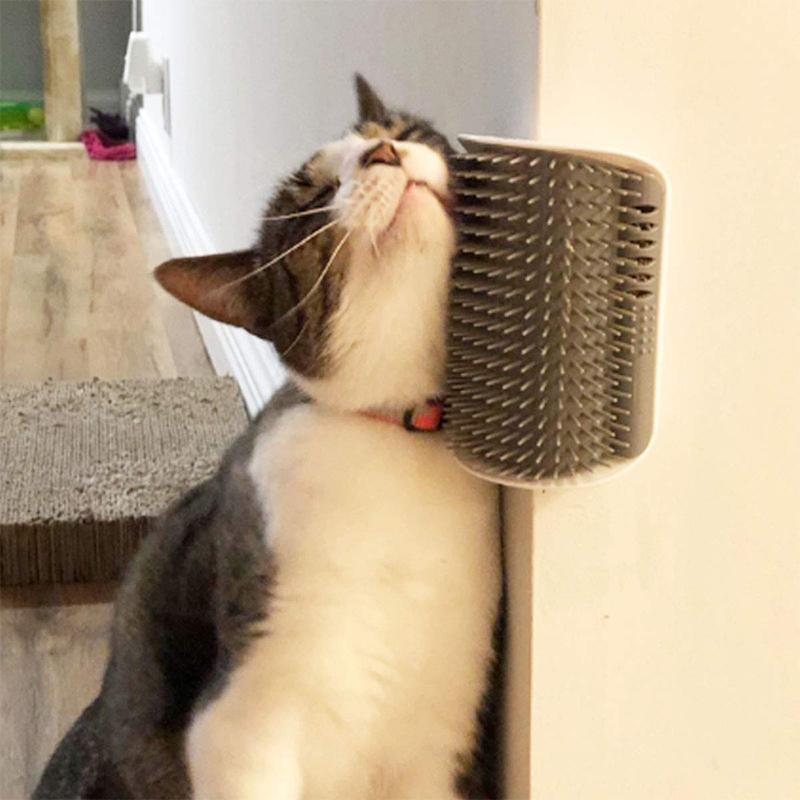 Pet Brush Comb Play Cat Toy Softer Cat Self Groomer Massage Comb with Ca... - $5.99