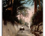 Un Setier Trail  dans l&#39;Oasis Tunisia  UNP DB Postcard Q25 - £3.09 GBP