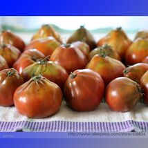Japonskij Black Truffle Tomato Seeds 100 Seeds - $7.99