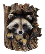 Rustic Western Lifelike Gray Raccoon Hiding In Tree Trunk Decorative Fig... - $586.82 MXN