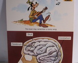 1978 Walt Disney&#39;s Fun &amp; Facts Flashcard #DFF4-7: The Brain - $2.00