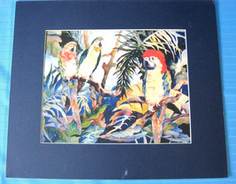  Parrots Tropical Birds Art Print Artist Judy Richards 12&quot; X 14&quot; Matted - £24.14 GBP