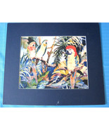  Parrots Tropical Birds Art Print Artist Judy Richards 12&quot; X 14&quot; Matted - £24.20 GBP