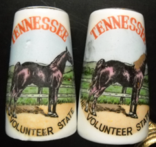 Tennessee Volunteer State Salt and Pepper Shaker Set Purple Horse White Gold Top - £7.98 GBP