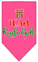 Team Rudolph Screen Print Bandana Bright Pink Small - £9.06 GBP