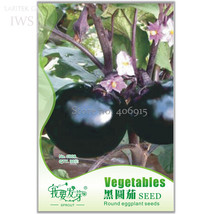 Fresh Seeds Black Round Eggplant Seeds Pack 30 Seeds Natural Organic Veg... - $13.98