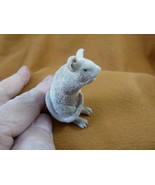 (MOU-W5) little white gray Mouse shed ANTLER figurine Bali detailed fiel... - $123.46 CAD