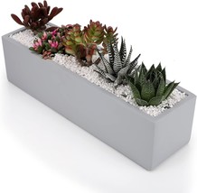 Ten-Stone 15&quot; Rectangular Cement Planter With A Windowsill Box And Succulent - £44.08 GBP