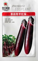 1 Pack 8g packichuanuper Red Early maturing Long Eggplant F1 NON GMO Heirloom - £15.82 GBP