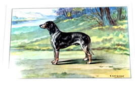 Vintage Original  Chromolithograph c.1945 Castellan Dogs &quot; Le Briquet Lucernois&#39; - £17.94 GBP