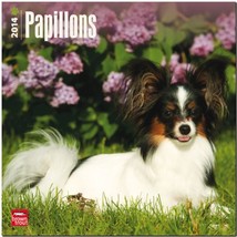 Papillons 18-Month 2014 Calendar [Calendar] - $6.99