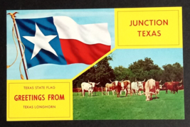 Greetings from Junction Texas Split View Longhorn State Flag TX Postcard c1970s - £7.24 GBP