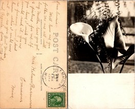 USA Minnesota Emmons Helmer Rasmusson Close Up of Flower RPPC Antique Postcard - £18.90 GBP