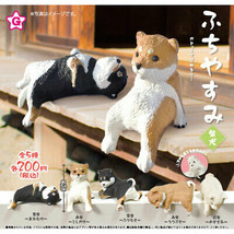 Cute Shiba Inu Puppy Dog Enjoying the Sun Mini Figure Collection - £10.21 GBP