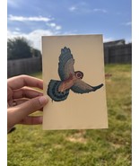 Northern Harrier Individual Post Card - $93.47 MXN