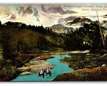 Mount Rainier From Paradise Valley Washington WA UNP DB Postcard V18 - $4.90
