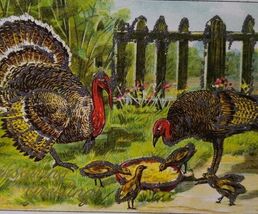 Thanksgiving Postcard Glitter Mica Wild Turkeys Julius Bien 1908 Series ... - $6.07