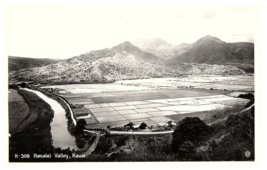 RPPC Postcard Hanalei Valley Vista of Taro Fields Kauai Hawaii c1950 - $14.80