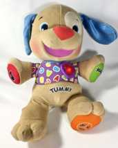 Fisher Price Laugh and Learn Plush Dog Talking Laughing Singing Interact... - $18.00
