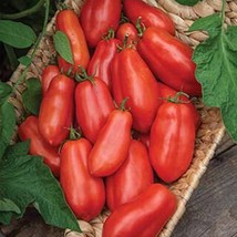 Usa Seller Determinate San Marzano Tomato Seeds Fast Shipping - $16.30