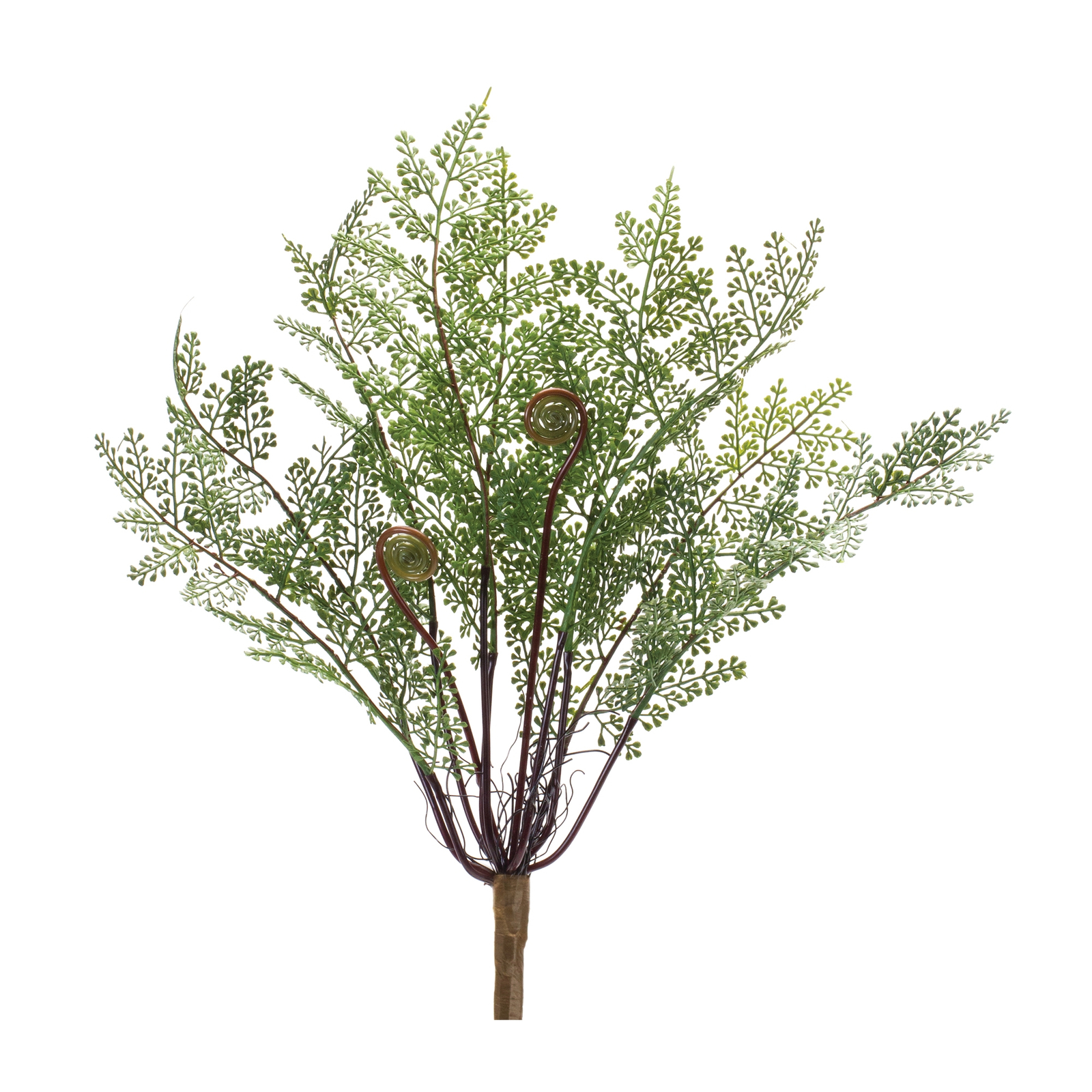 Fern Bush (Set of 2) - $51.66